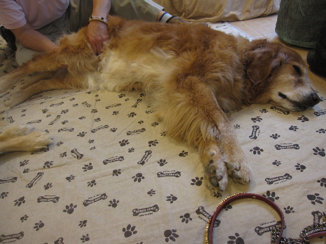 ファイル 1266-3.jpg