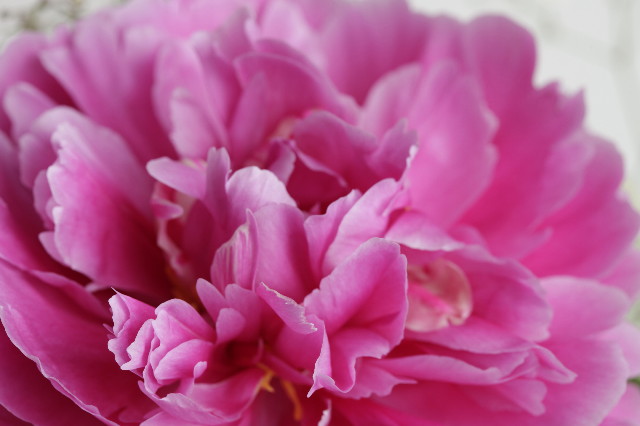 ファイル 1268-5.jpg