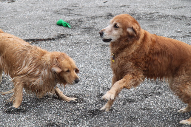 ファイル 1271-5.jpg