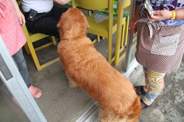 ファイル 1272-2.jpg