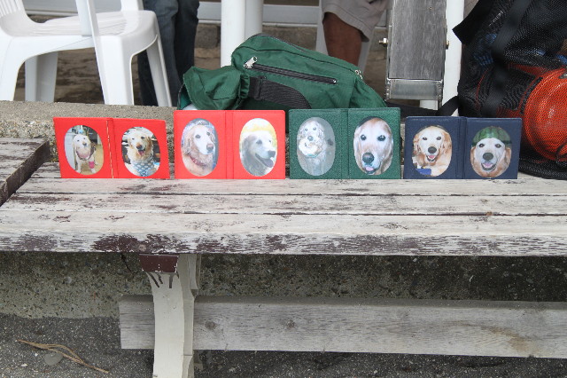 ファイル 1272-3.jpg