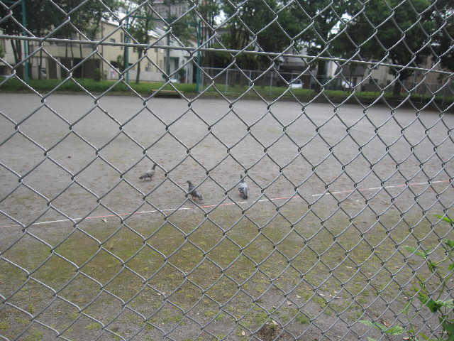 ファイル 1274-2.jpg