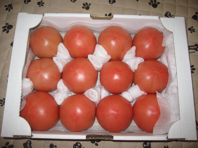 ファイル 1274-3.jpg