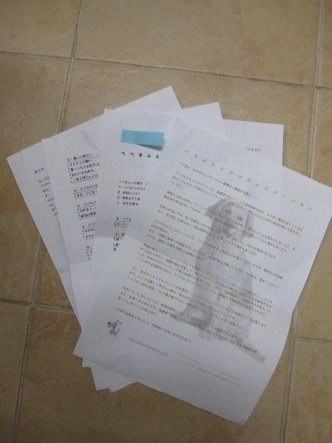 ファイル 1275-2.jpg