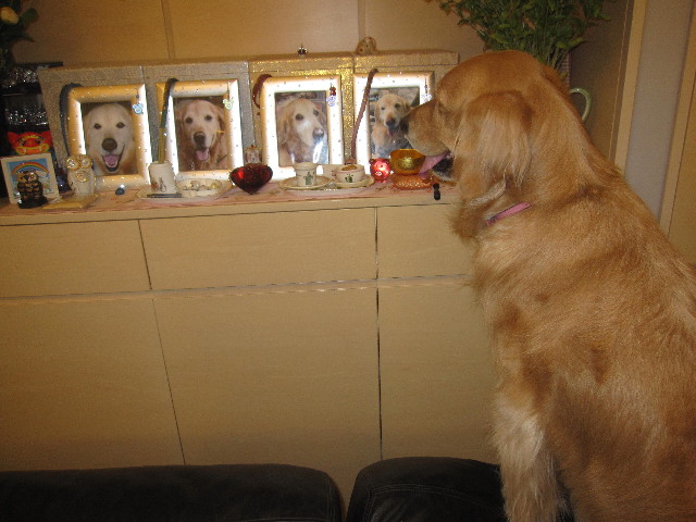 ファイル 1276-5.jpg