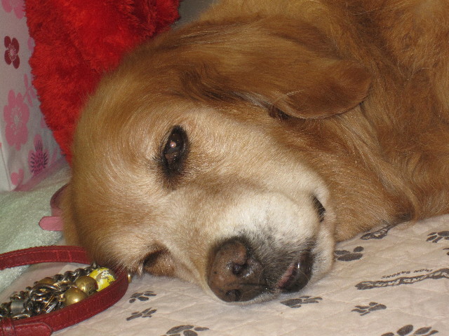 ファイル 1278-1.jpg