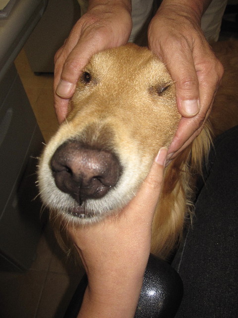 ファイル 1278-5.jpg