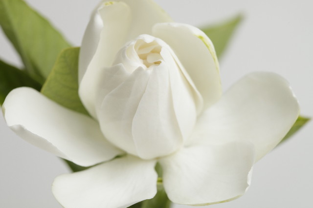 ファイル 1280-2.jpg