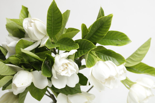 ファイル 1280-3.jpg