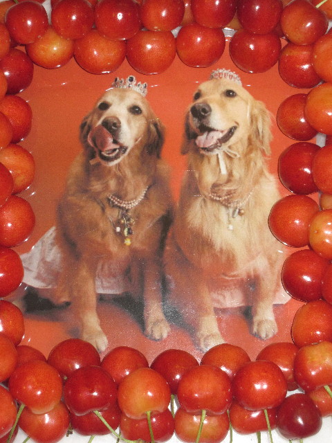 ファイル 1283-2.jpg