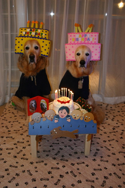 ファイル 1284-4.jpg