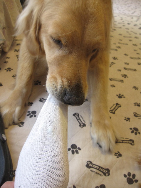 ファイル 1286-2.jpg