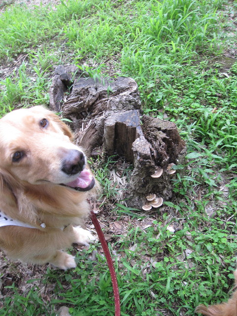 ファイル 1288-3.jpg