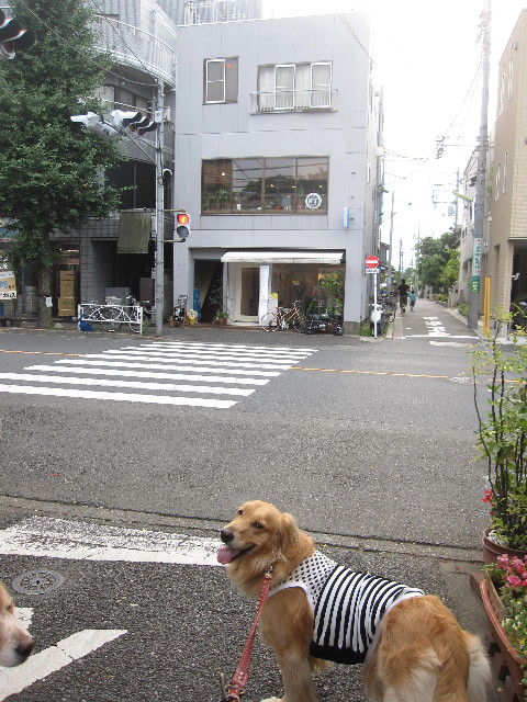 ファイル 1288-5.jpg