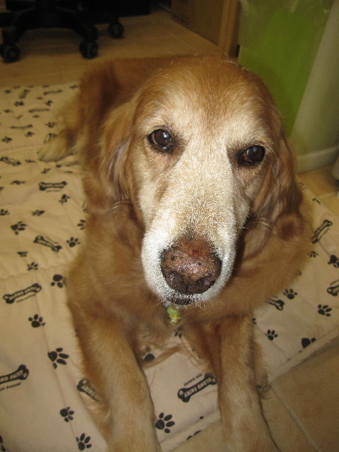 ファイル 1289-5.jpg