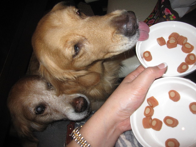 ファイル 1291-4.jpg