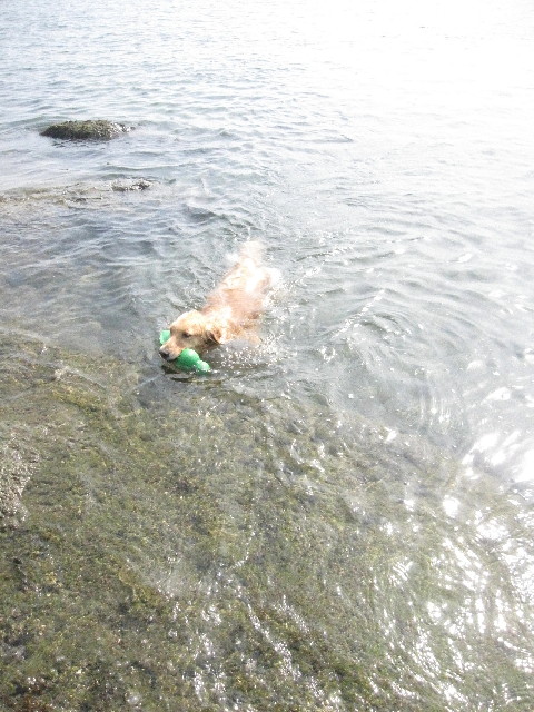 ファイル 1303-1.jpg