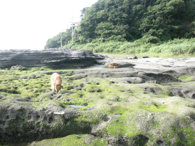 ファイル 1303-2.jpg