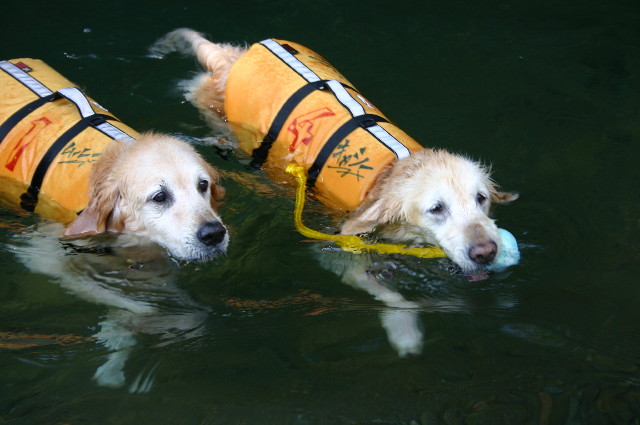 ファイル 1303-3.jpg