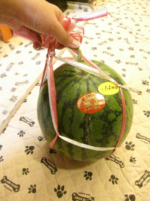 ファイル 1304-1.jpg
