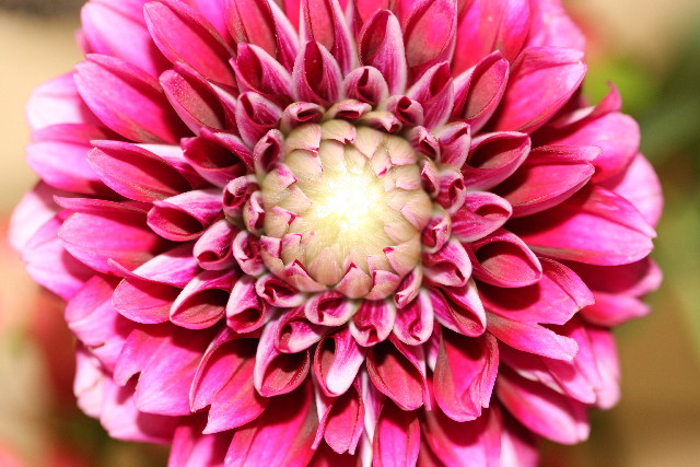 ファイル 1309-2.jpg