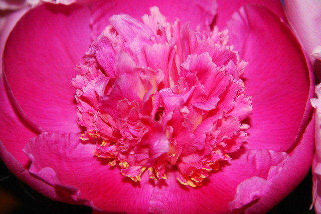 ファイル 1309-5.jpg