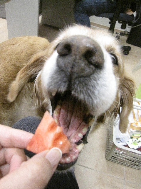 ファイル 1310-2.jpg