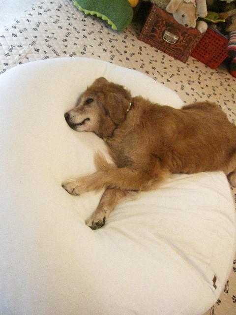 ファイル 1310-5.jpg