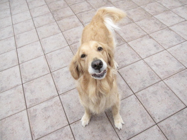 ファイル 1311-2.jpg