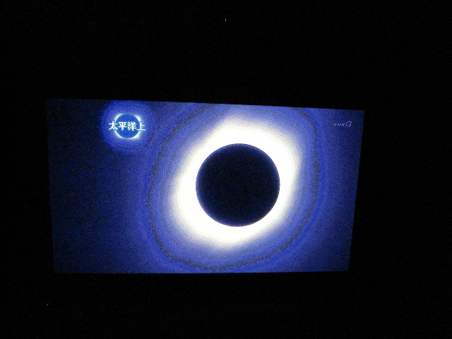 ファイル 1311-3.jpg