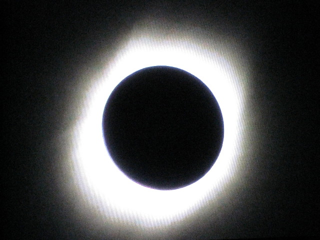 ファイル 1311-4.jpg