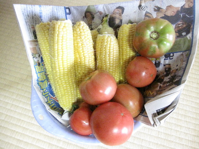 ファイル 1311-5.jpg