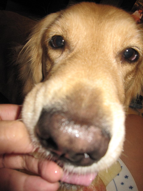 ファイル 1321-5.jpg