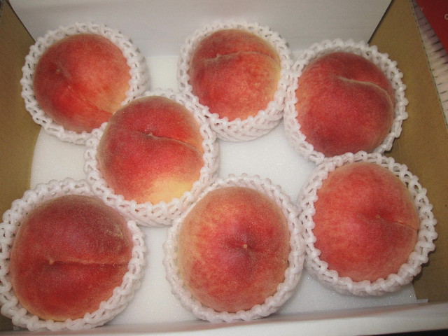 ファイル 1322-3.jpg