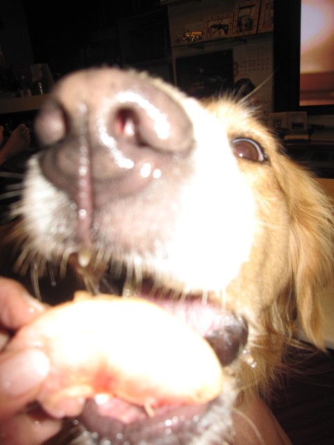 ファイル 1322-5.jpg