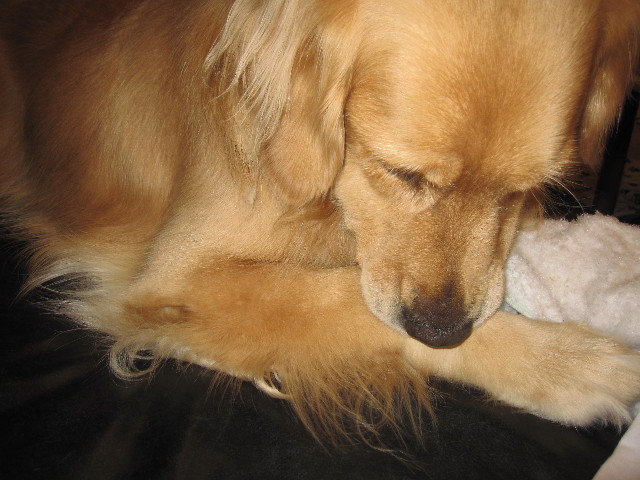 ファイル 1323-2.jpg