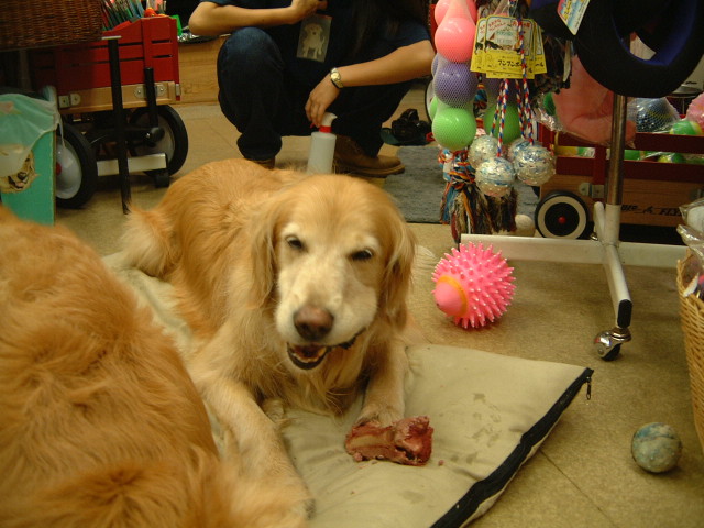 ファイル 1324-2.jpg