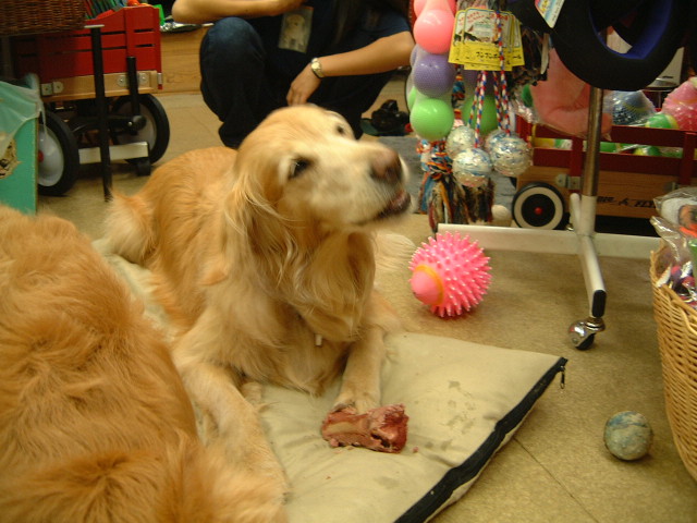 ファイル 1324-3.jpg