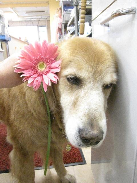 ファイル 1325-3.jpg