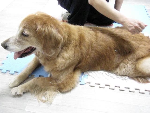 ファイル 1328-2.jpg