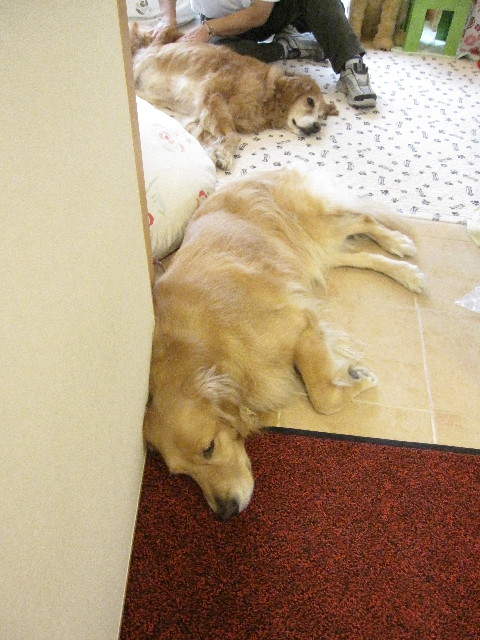 ファイル 1331-3.jpg