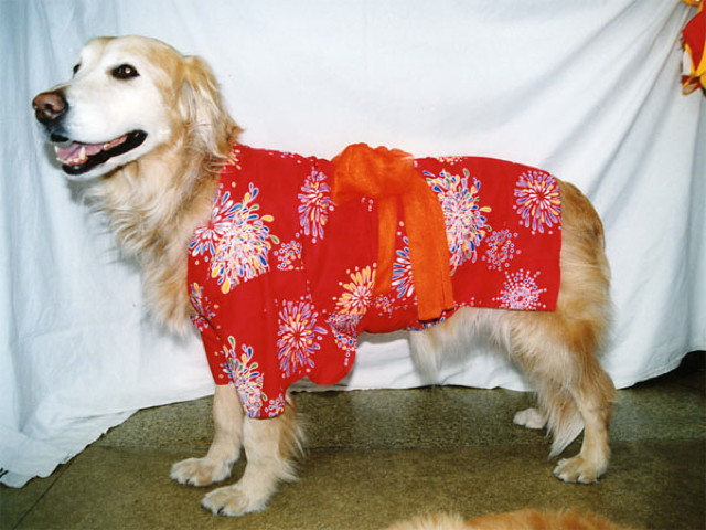 ファイル 1332-2.jpg