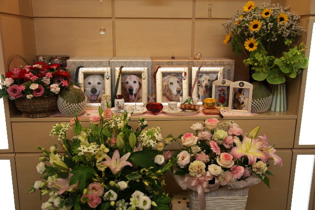 ファイル 1332-5.jpg