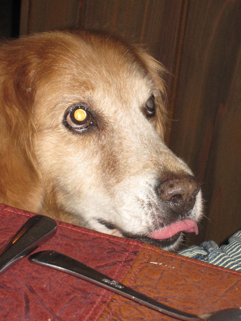 ファイル 1334-4.jpg