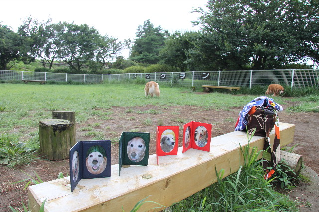 ファイル 1335-1.jpg