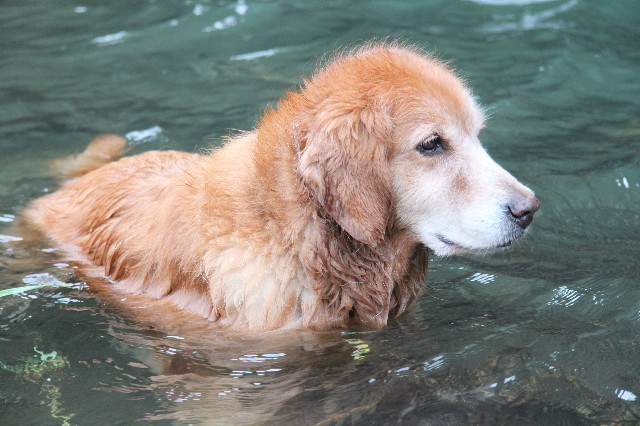 ファイル 1336-2.jpg