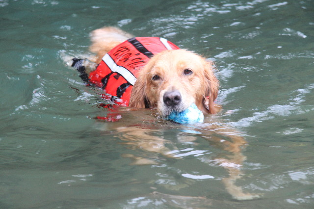 ファイル 1339-1.jpg