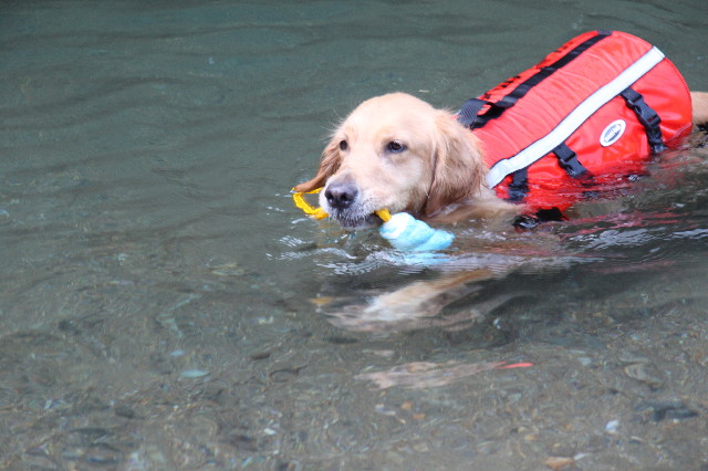 ファイル 1341-2.jpg