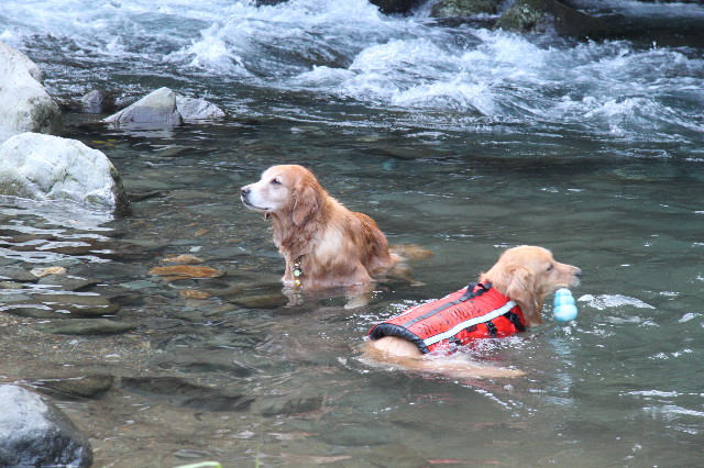 ファイル 1342-1.jpg