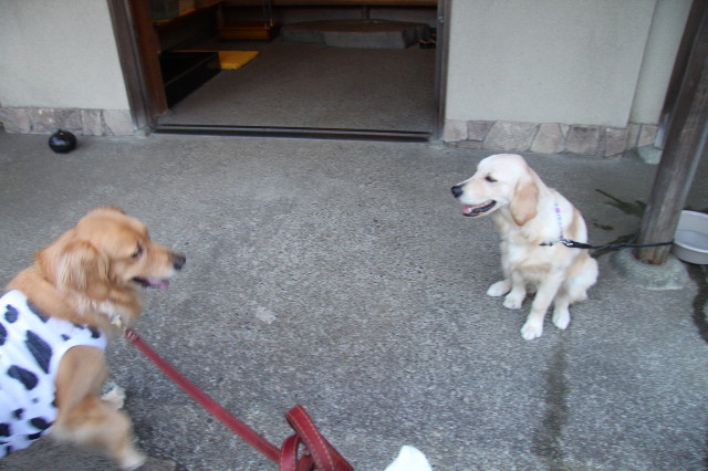 ファイル 1344-2.jpg